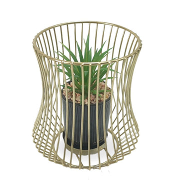 Gold Decorative Succulent Plant With Metal Case