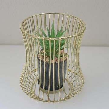 Gold Decorative Succulent Plant With Metal Case