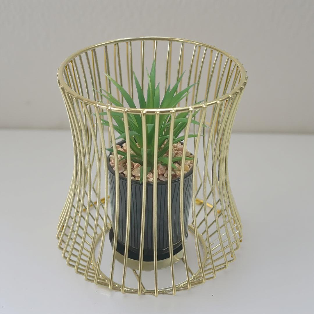 Gold Decorative Succulent Plant With Metal Case