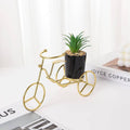 Metal Cycle in Golden Colour With Ceremic Flower Pot