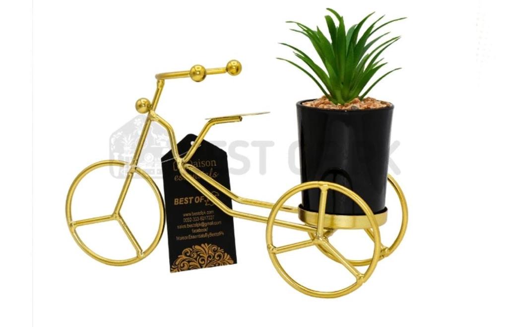 Metal Cycle in Golden Colour With Ceremic Flower Pot