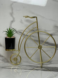 Vintage Bicycle Metal Planter with Ceramic Cactus – Artistic Home Decor
