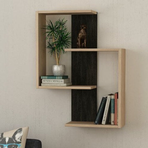 Thrilling DIY Wall Mounted Book Shelf, wooden shelves, Storage Shelves by eFurniturePk