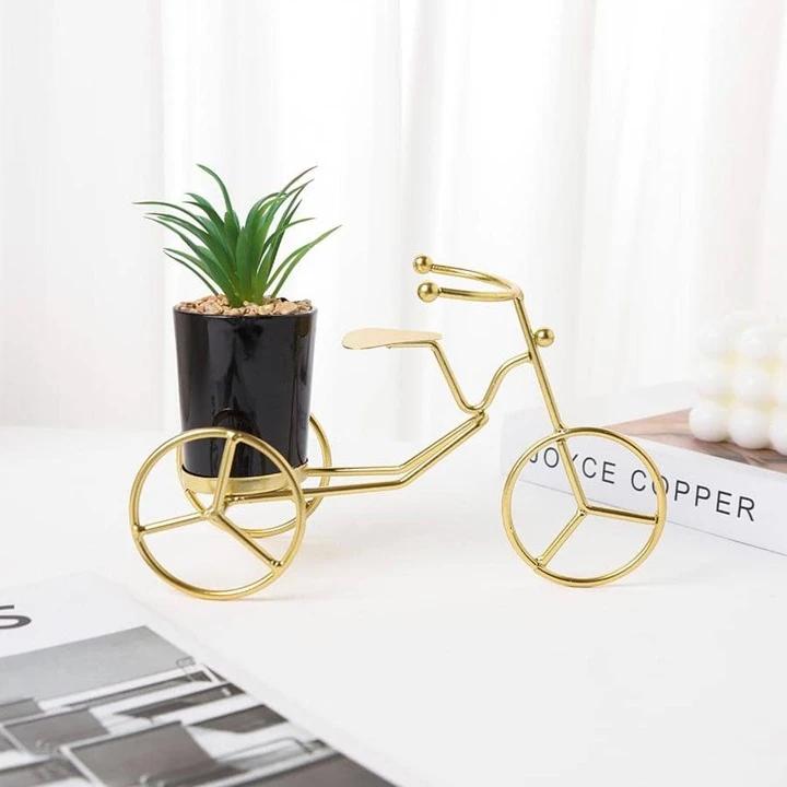 Metal Cycle in Golden Colour With Ceremic Flower Pot