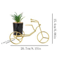 Metal Cycle in Golden Colour With Ceremic Flower Pot