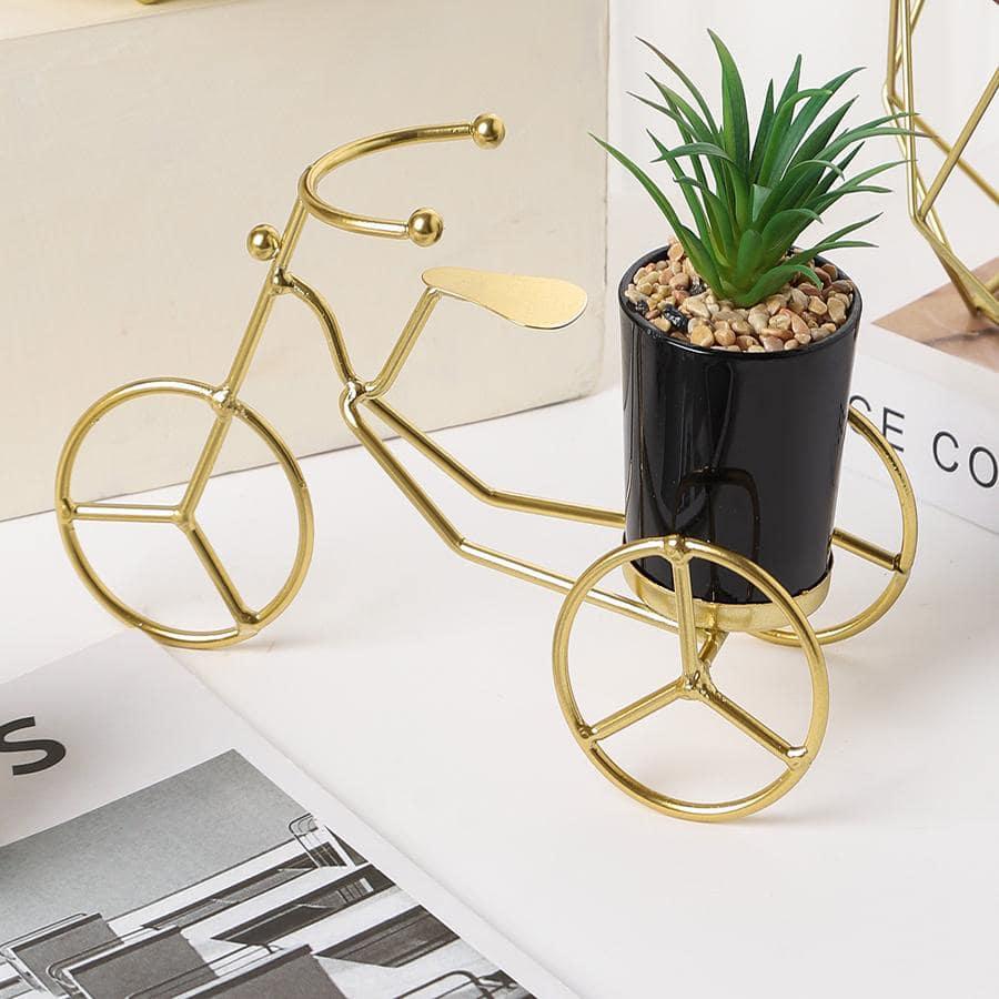 Metal Cycle in Golden Colour With Ceremic Flower Pot